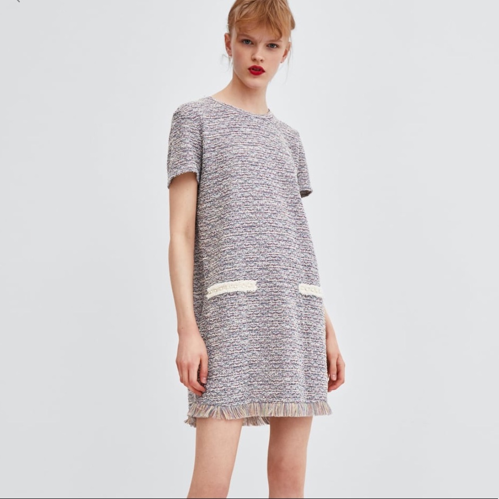 Zara Fringe Tweed Dress